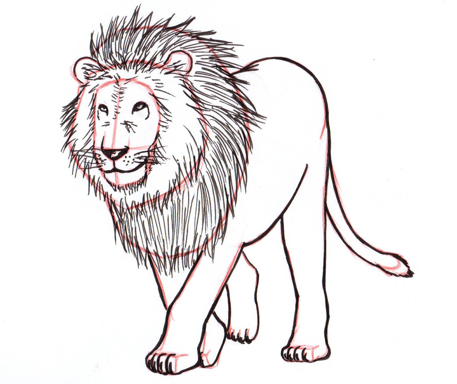 4 ways to draw a lion