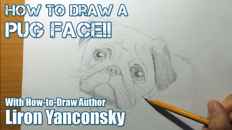 How to draw a pug face