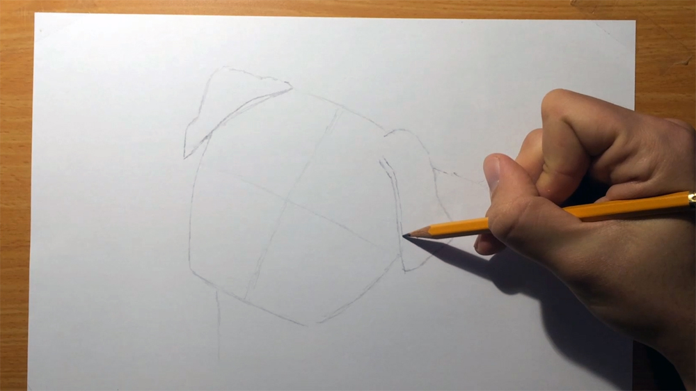 How to Draw a Pug Dog's Face (Cute!) - Liron Yanconsky