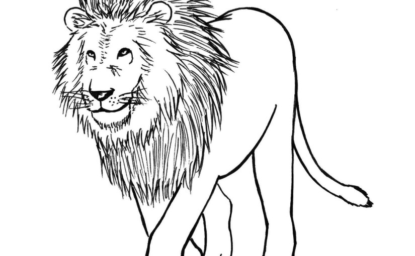 Lion Head - Roaring - King of The Jungle - Drawing - Illustration