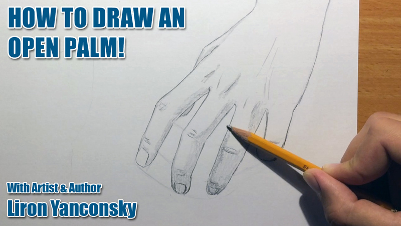 How to Draw an Open Hand / Palm!