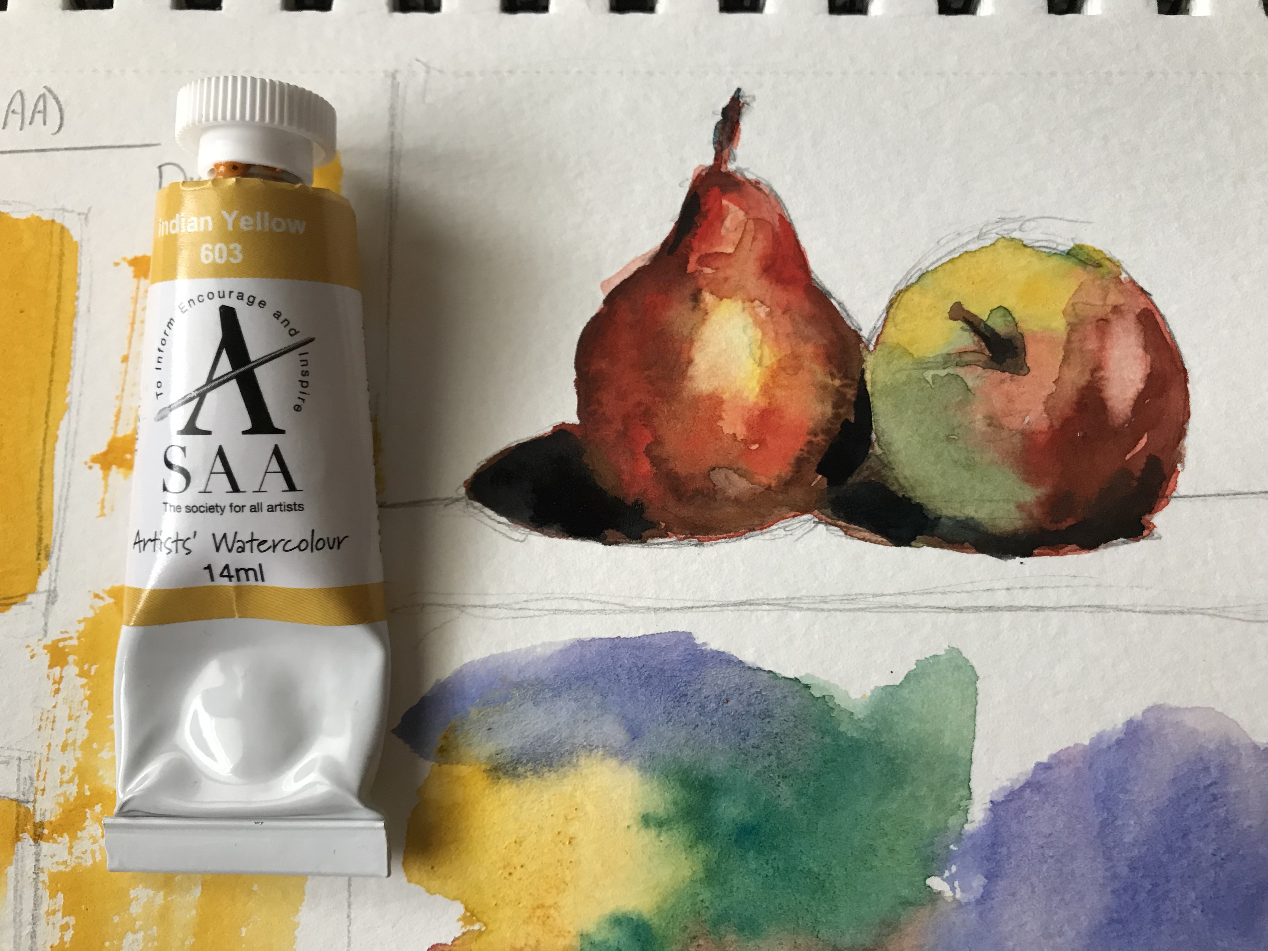 A still-life of a pear and apple, done with Indian Yellow